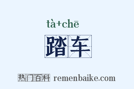 踏车是什么意思的图片